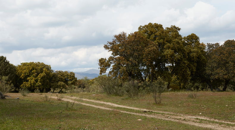 Comunidad de Madrid - Colmenar del Arroyo - 474366m2