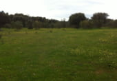 Non-developable land for sale on CAMINO A CHAPINERIA S/N, Colmenar del Arroyo, ref: TR98562 photo