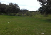Non-developable land for sale on CAMINO A CHAPINERIA S/N, Colmenar del Arroyo, ref: TR98562 photo