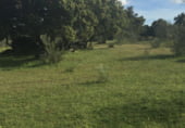 Non-developable land for sale on CAMINO A CHAPINERIA S/N, Colmenar del Arroyo, ref: TR98562 photo