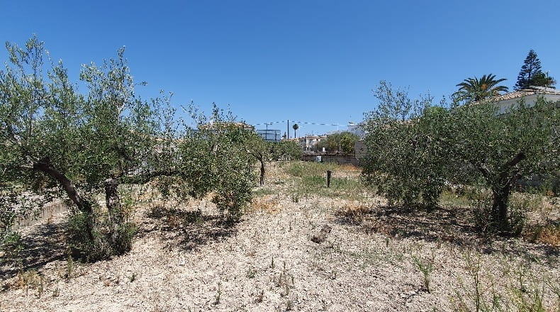 Sevilla - Salteras - 715m2