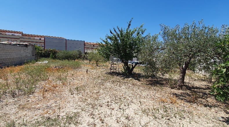 Sevilla - Salteras - 715m2