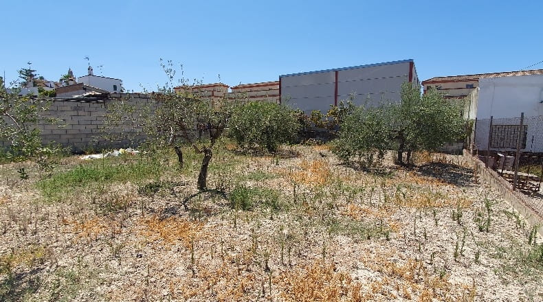 Sevilla - Salteras - 715m2