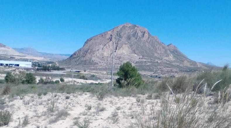 Alicante - Alicante - 4770m2