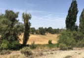 Terreno no urbanizable en venta en la Polígono 16 Parcela 21 - FUENTE GRANDE, Zarzuela, ref: TR98845 foto