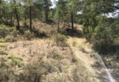 Terreno no urbanizable en venta en la Polígono 16 Parcela 21 - FUENTE GRANDE, Zarzuela, ref: TR98845 foto