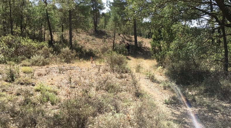 Cuenca - Zarzuela - 1268m2