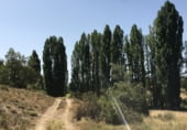 Non-developable land for sale on Polígono 21 Parcela 3 - VALDIJADOS, Zarzuela, ref: TR98846 photo