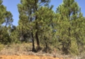 Non-developable land for sale on Polígono 21 Parcela 3 - VALDIJADOS, Zarzuela, ref: TR98846 photo