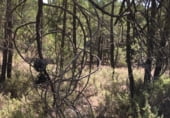 Non-developable land for sale on Polígono 21 Parcela 3 - VALDIJADOS, Zarzuela, ref: TR98846 photo
