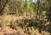 Non-developable land for sale on Polígono 21 Parcela 3 - VALDIJADOS, Zarzuela, ref: TR98846 photo