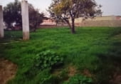 Terreno en venta en la Pago del Palomar, El Puerto de Santa María, ref: TR98850 foto