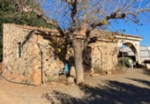 Finca rústica en venta en la Montbrió del camp, Montbrió del Camp, ref: TR98852 foto