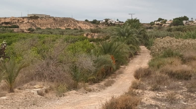 Alicante - La Murada - 22360m2