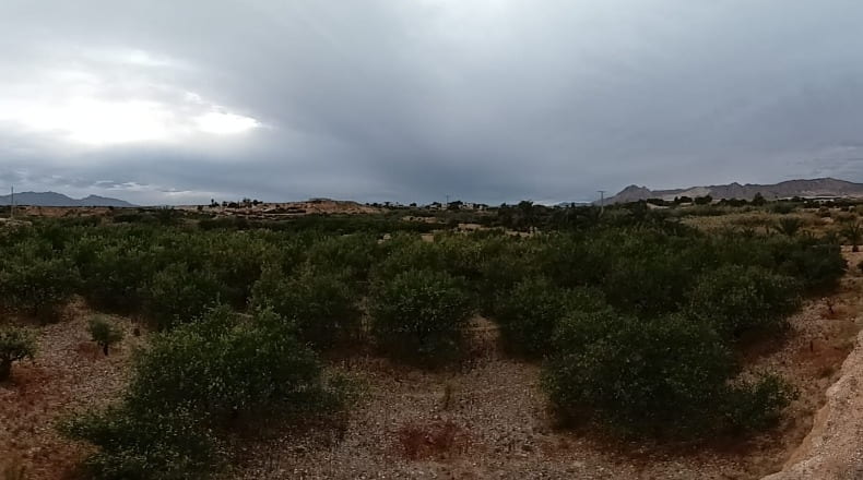 Alicante - La Murada - 22360m2