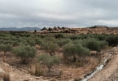Non-developable land for sale on La Murada, ref: TR98854 photo