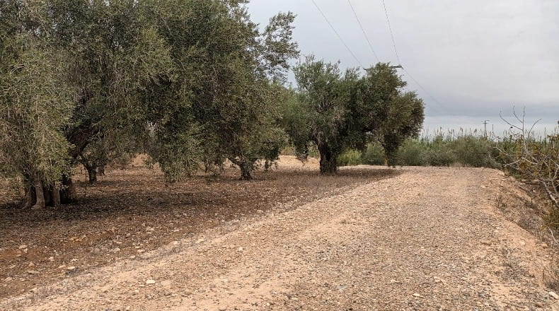 Alicante - La Murada - 22360m2
