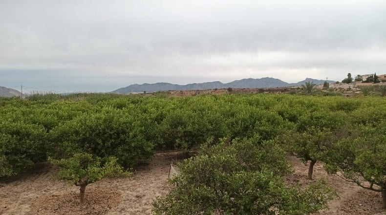 Alicante - La Murada - 22630m2