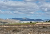 Casa de piedra con terreno en venta en la Carretera Jumilla a Cieza, Jumilla, ref: TR98952 foto