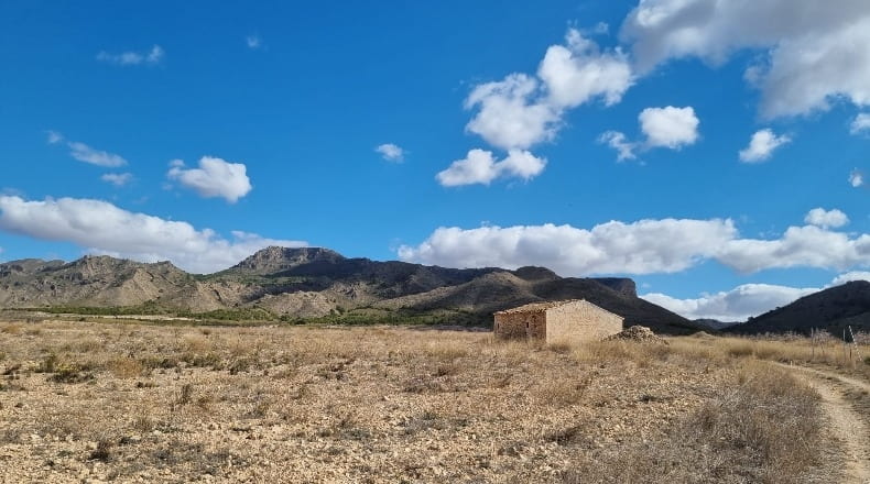Murcia - Jumilla - 70731m2