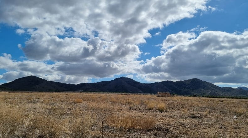 Murcia - Jumilla - 70731m2