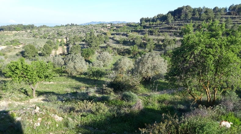 Tarragona - Corbera d'Ebre - 73896m2