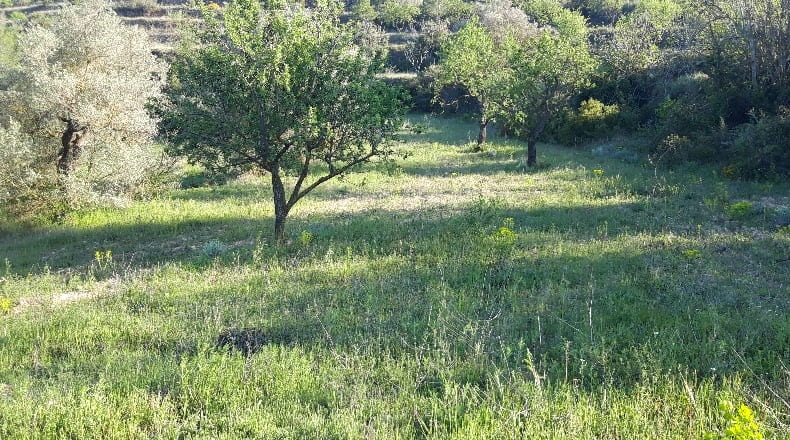Tarragona - Corbera d'Ebre - 73896m2