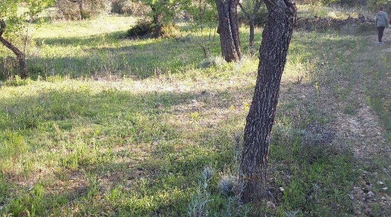 Tarragona - Corbera d'Ebre - 73896m2