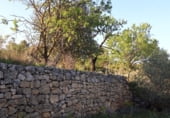 Finca rústica en venda a la Poligono 4 Parcela 64, Corbera d'Ebre, ref.: TR98950 foto