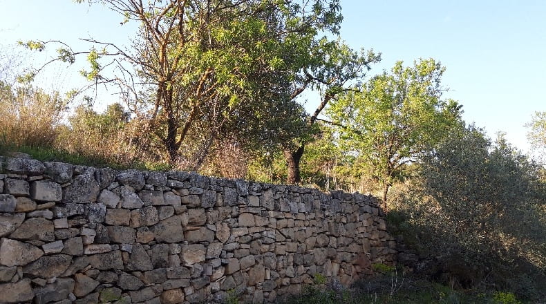 Tarragona - Corbera d'Ebre - 73896m2