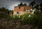 Finca rústica en venda a la Poligono 4 Parcela 64, Corbera d'Ebre, ref.: TR98950 foto