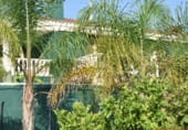 Detached villa with land for sale on CV-364, Pedralba, ref: TR98978 photo