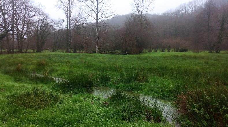 Navarre - Lecumberri - 8000m2