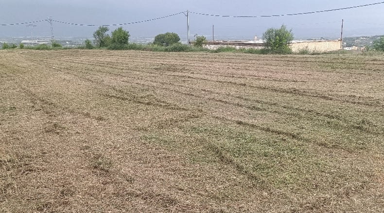Valencia - Albaida - 1400m2