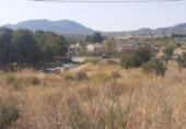 Non-developable land for sale on Partida Xinorla 1, Monóvar, ref: TR98311 photo