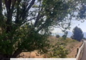 Non-developable land for sale on Partida Xinorla 1, Monóvar, ref: TR98311 photo