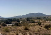 Non-developable land for sale on Partida Xinorla 1, Monóvar, ref: TR98311 photo