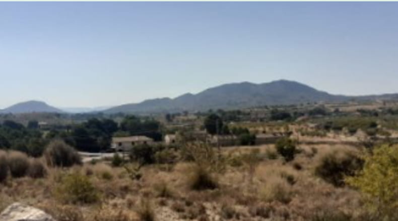 Alicante - Monóvar - 30000m2