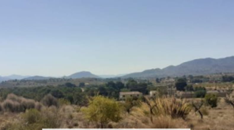 Alicante - Monóvar - 30000m2