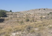 Non-developable land for sale on Partida Xinorla 1, Monóvar, ref: TR98311 photo