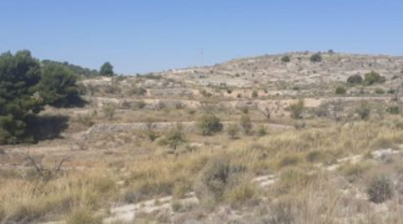 Alicante - Monóvar - 30000m2