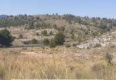 Non-developable land for sale on Partida Xinorla 1, Monóvar, ref: TR98311 photo
