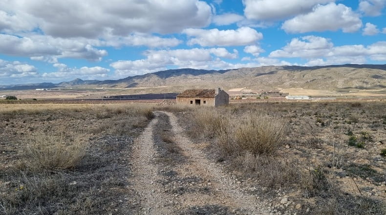 Murcia - Jumilla - 88600m2