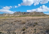 Parcela urbanizable en venta en la Los Alacranes, Jumilla, ref: TR98986 foto