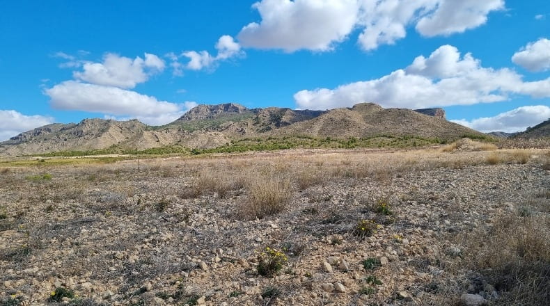 Murcia - Jumilla - 88600m2