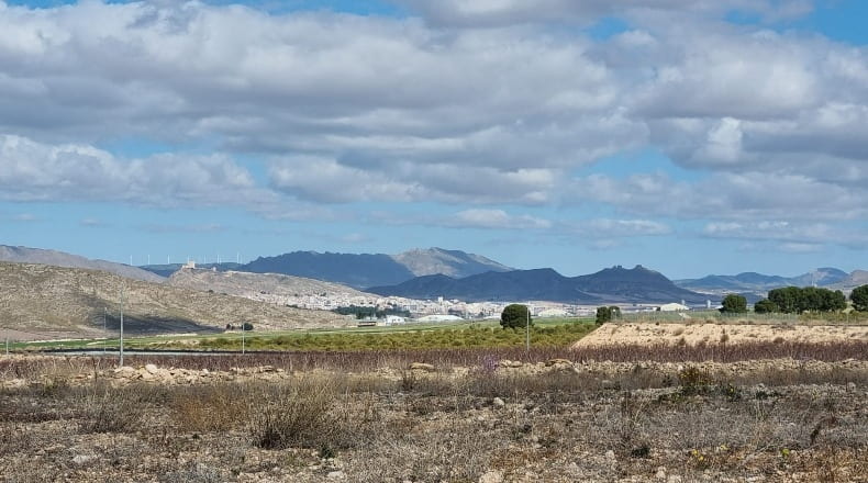 Murcia - Jumilla - 88600m2