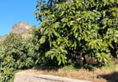 Non-developable land for sale on Avinguda de la Font Menor, Simat de la Valldigna, ref: TR98988 photo