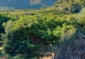 Non-developable land for sale on Avinguda de la Font Menor, Simat de la Valldigna, ref: TR98988 photo