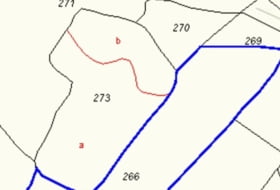 Los Cortijos 48000&nbsp;m² 