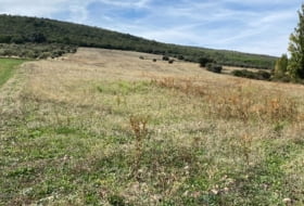 Los Cortijos 48000&nbsp;m² 